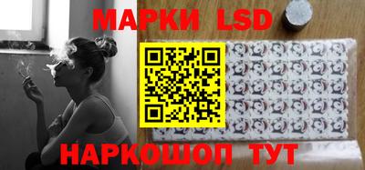mdma Гатчина