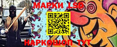 mdma Гатчина